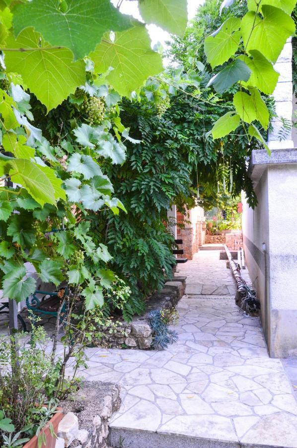 Apartment Zoja Pinezići Dış mekan fotoğraf