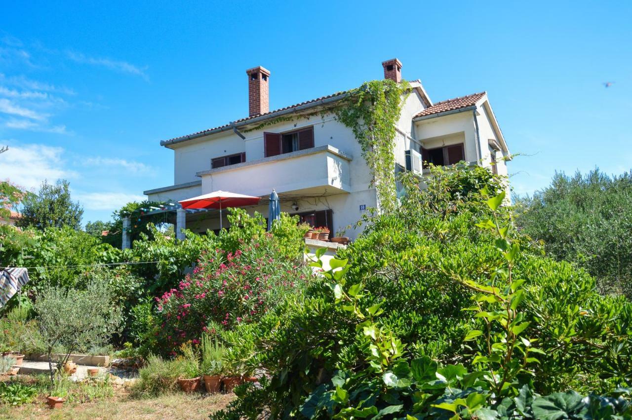 Apartment Zoja Pinezići Dış mekan fotoğraf