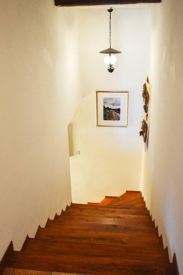 Apartment Zoja Pinezići Dış mekan fotoğraf