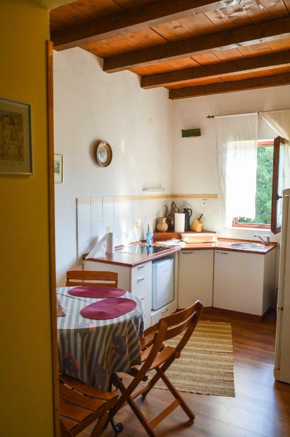 Apartment Zoja Pinezići Dış mekan fotoğraf