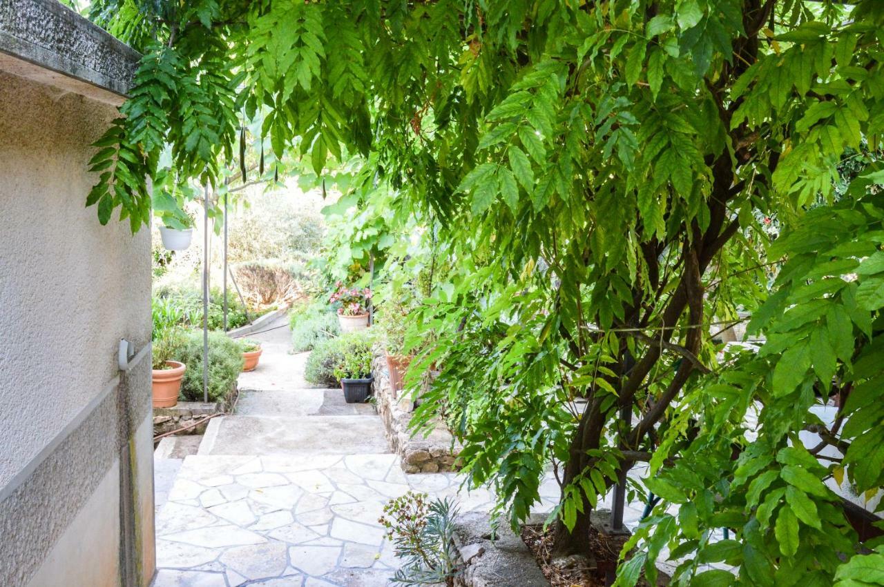 Apartment Zoja Pinezići Dış mekan fotoğraf